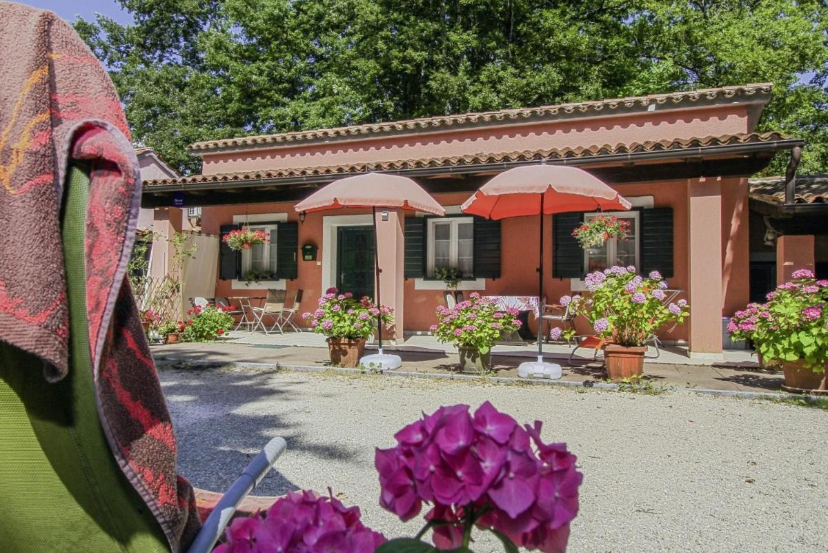 Dalibor In Jakacici - Haus Fuer 2-4 Personen Gračišće Eksteriør billede